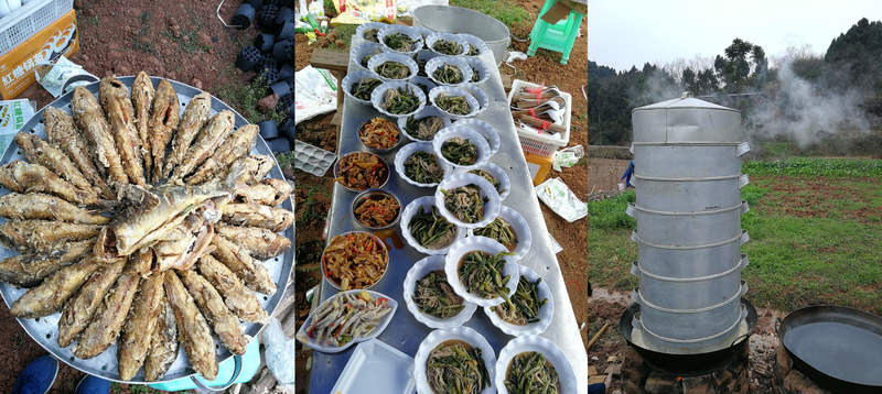 云顶集团3118(中国)官方网站